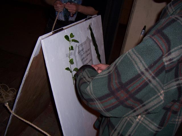 000_0320.JPG