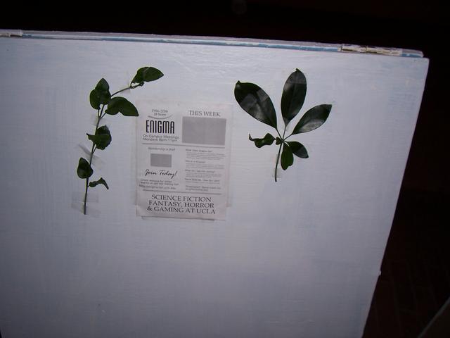 000_0322.JPG