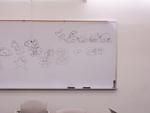 100_0786.JPG