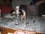 IMG_2327.jpg