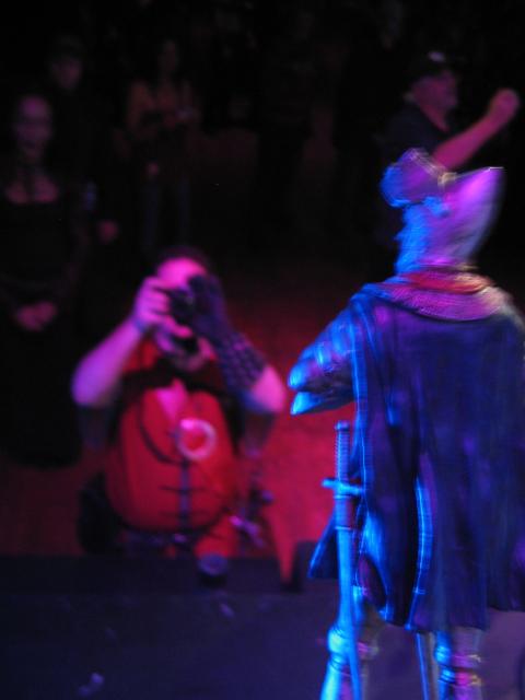 IMG_4219.JPG
