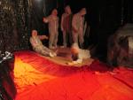 IMG_4777.jpg