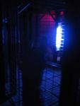 IMG_4922.jpg