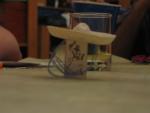 the Condi mini wears a sombrero