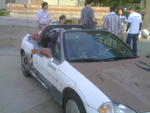 PICT0031.JPG