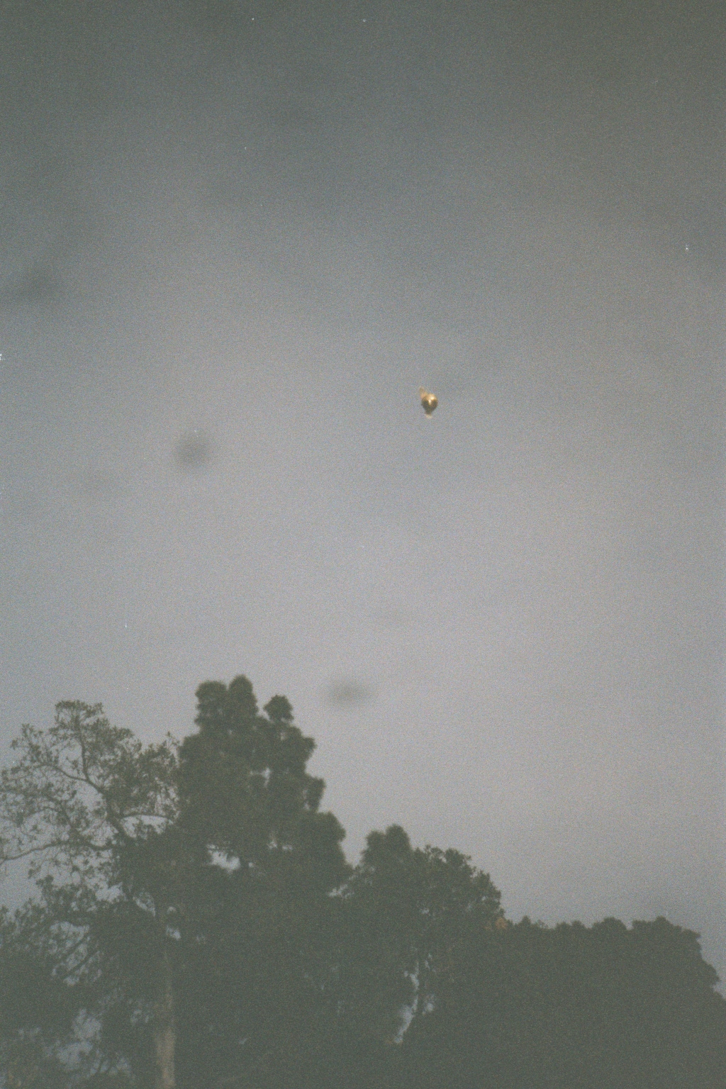 226_22A